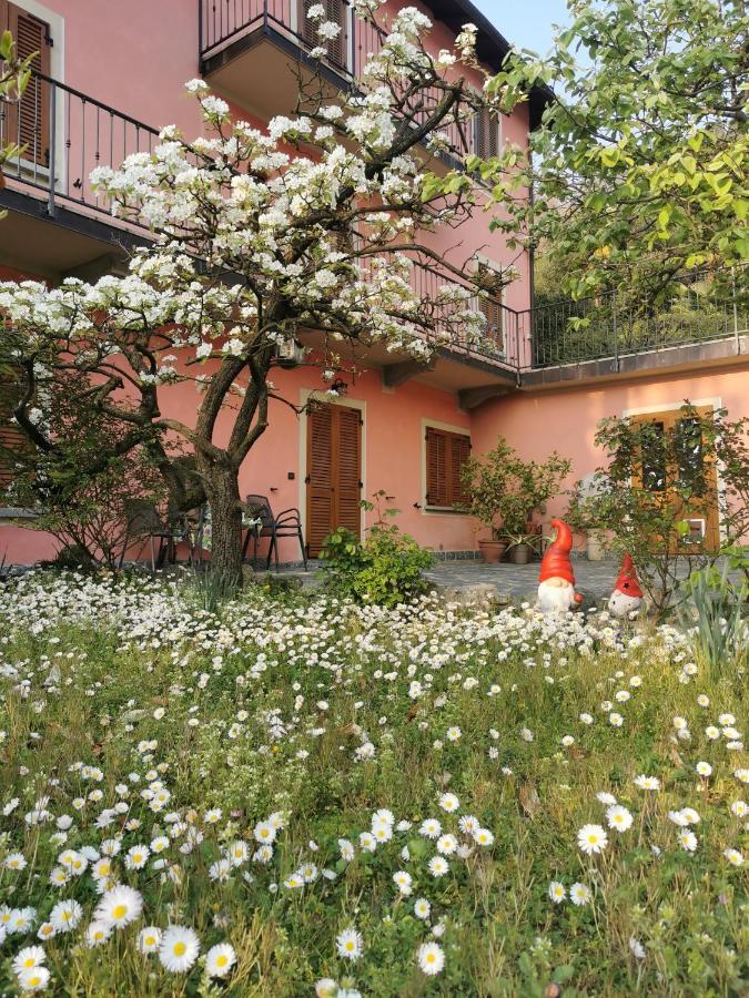 La Baia D'Acquadolce Villa Bolzano Novarese Ngoại thất bức ảnh