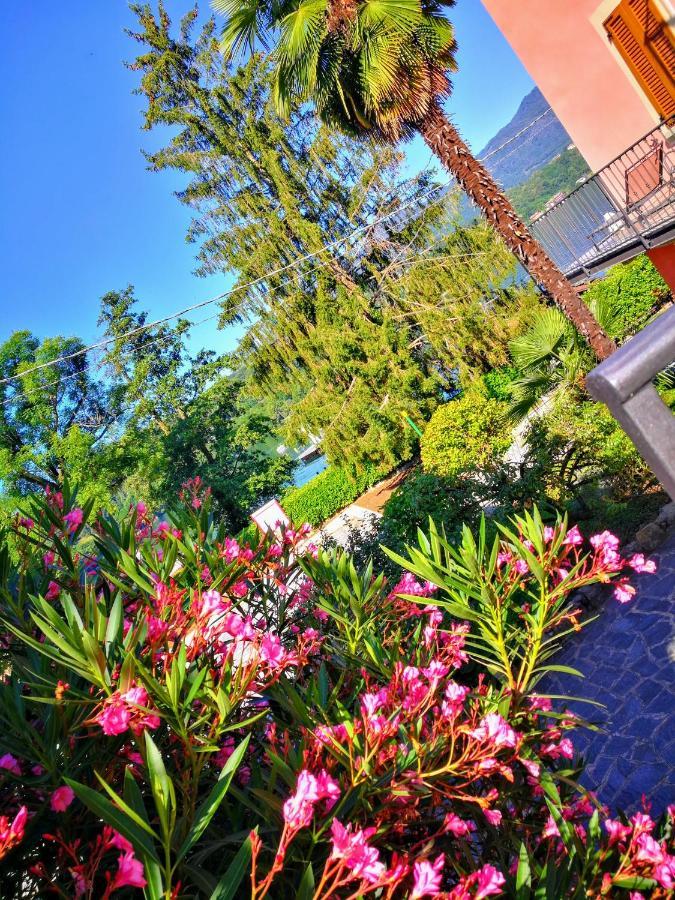 La Baia D'Acquadolce Villa Bolzano Novarese Ngoại thất bức ảnh